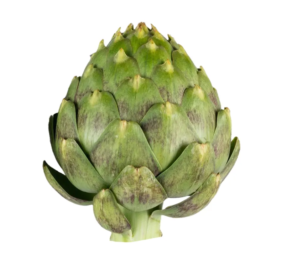 carciofi.webp
